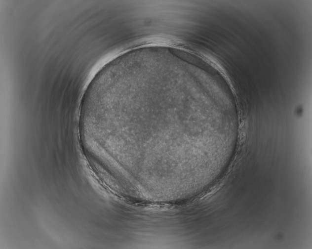 X0000115311146200911301530