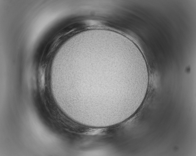 X0000115311150200911301530