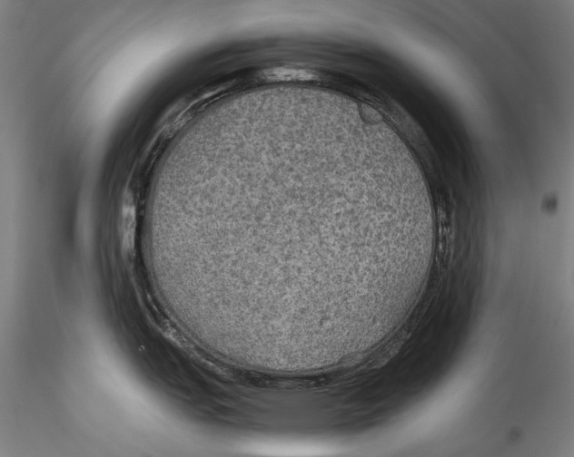 X0000115311151200911301530