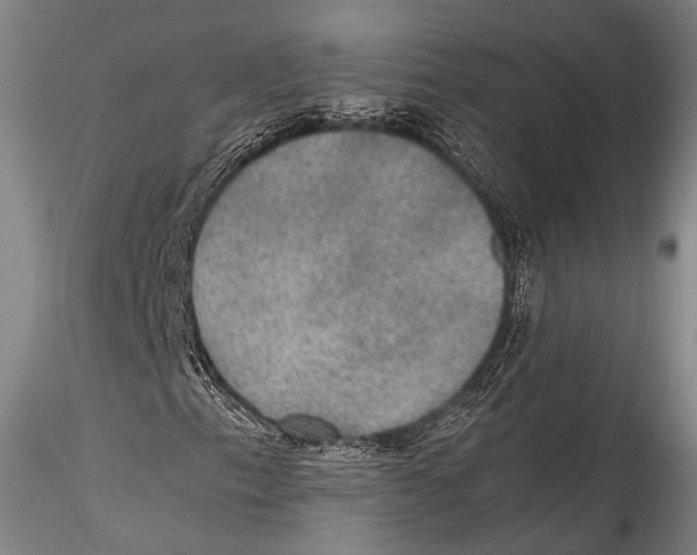 X0000115311153200911301529