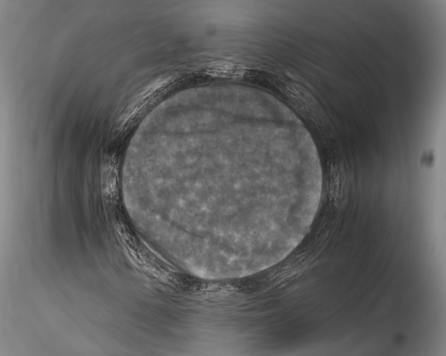 X0000115311154200911301529