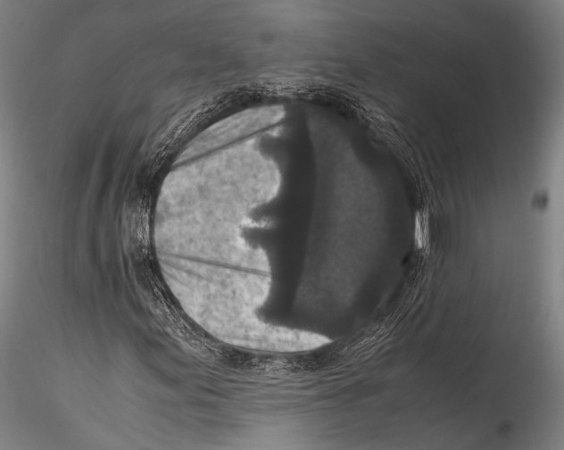 X0000115311155200911301529