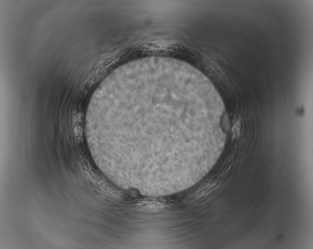 X0000115311156200911301529