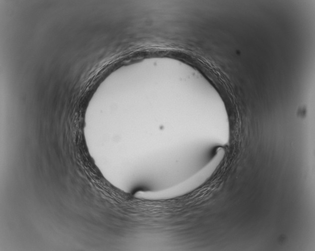 X0000115311157200911301529