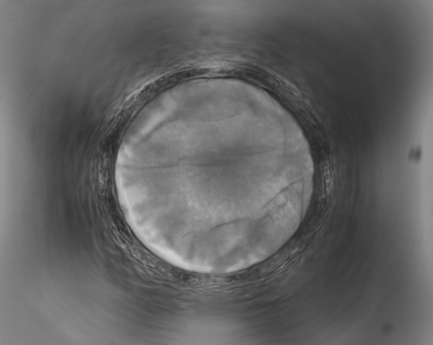 X0000115311158200911301529