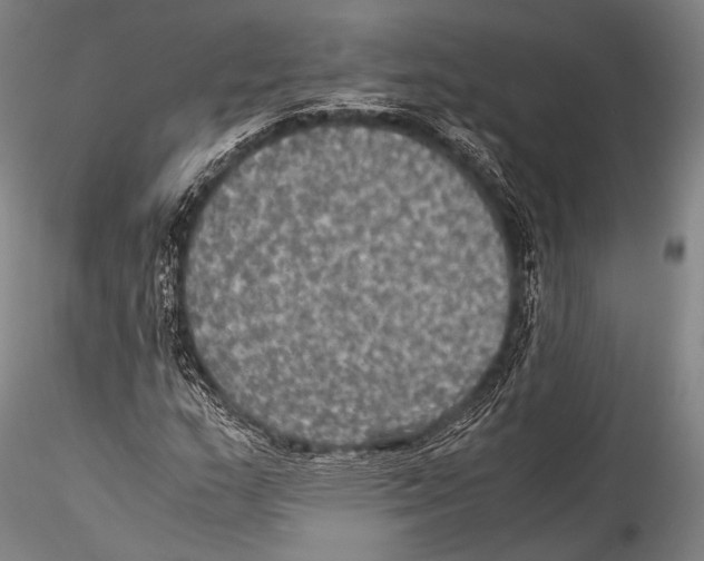 X0000115311159200911301529