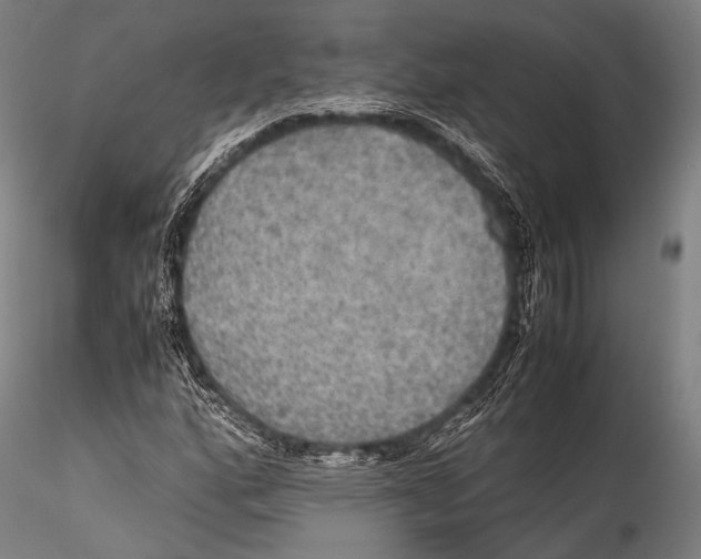 X0000115311160200911301529