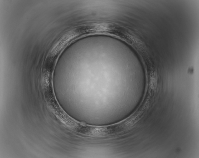 X0000115311161200911301529