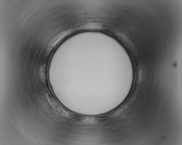 X0000115311162200911301529