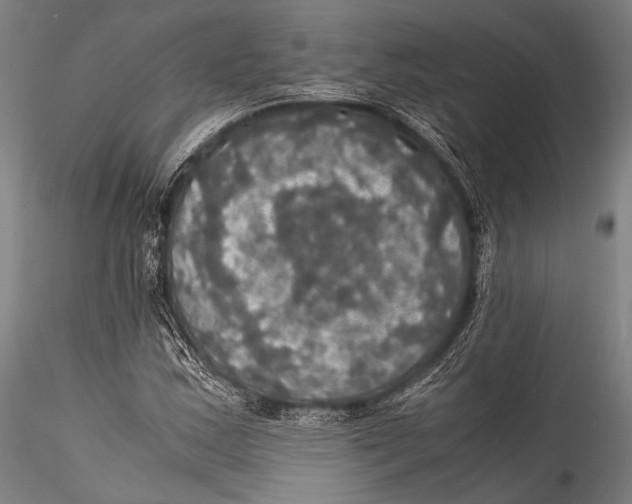 X0000115311163200911301529