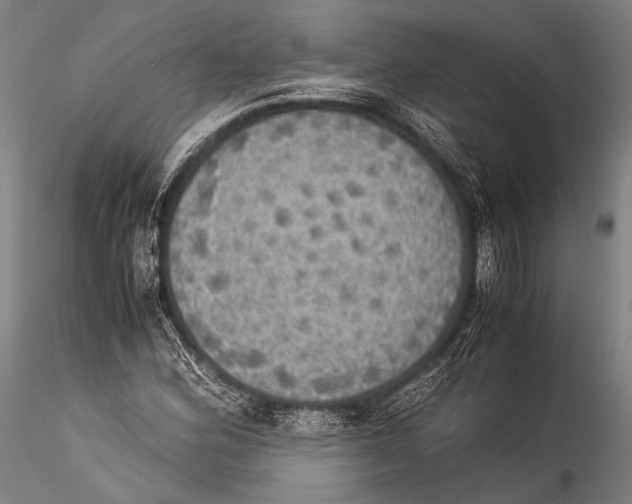 X0000115311164200911301529