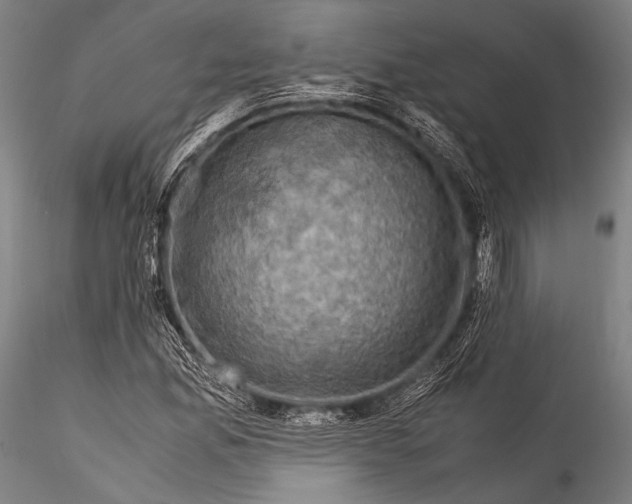 X0000115311165200911301529