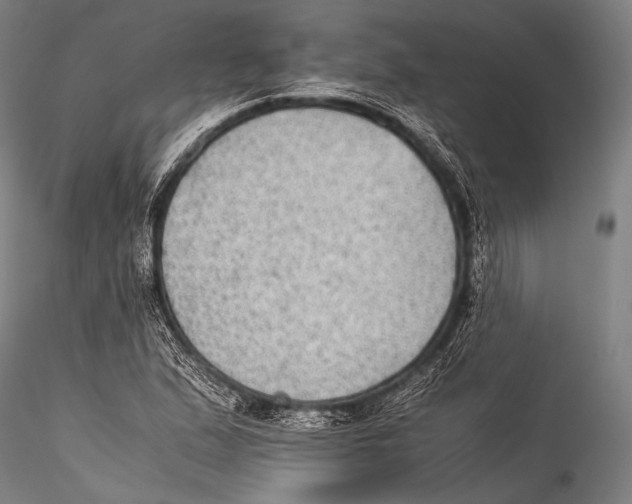 X0000115311167200911301529