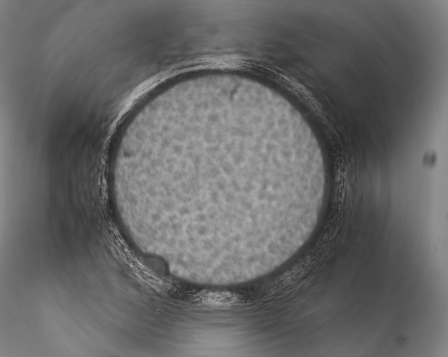 X0000115311168200911301529