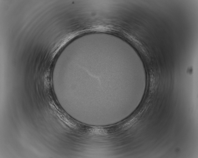 X0000115311170200911301529