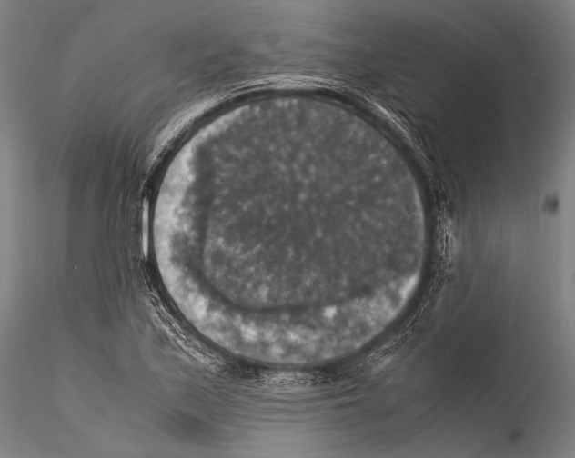 X0000115311171200911301529