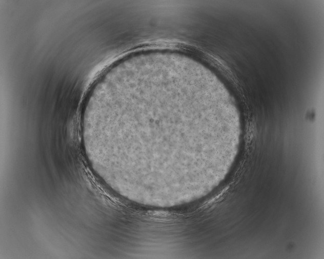 X0000115311172200911301529