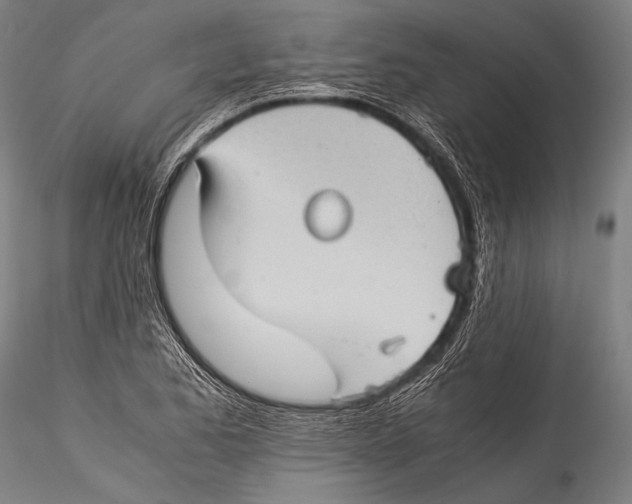 X0000115311173200911301529