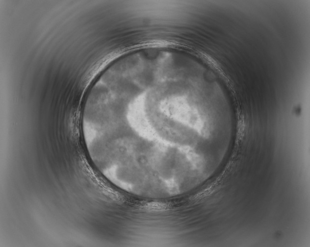 X0000115311178200911301529