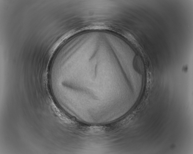 X0000115311181200911301528