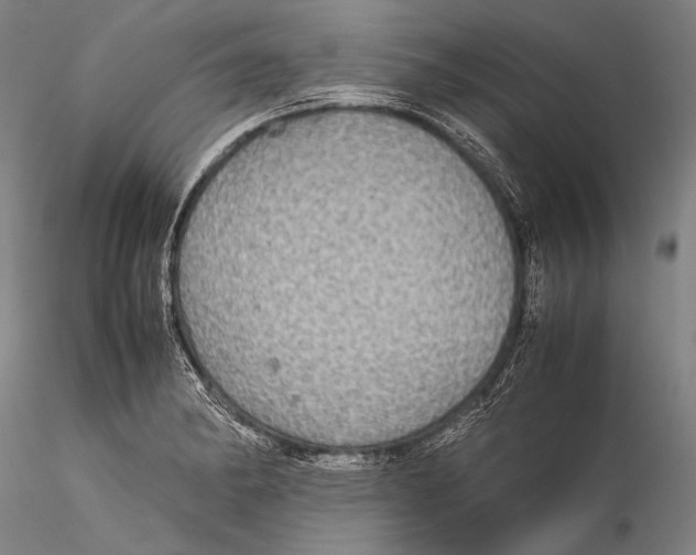 X0000115311182200911301528