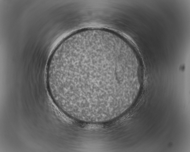 X0000115311183200911301528