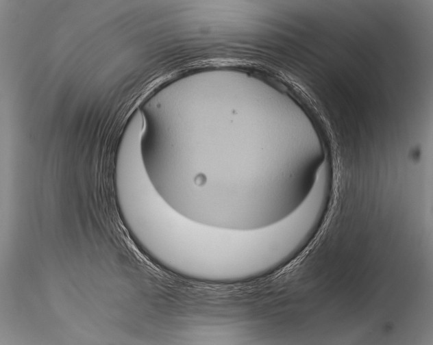 X0000115311185200911301528