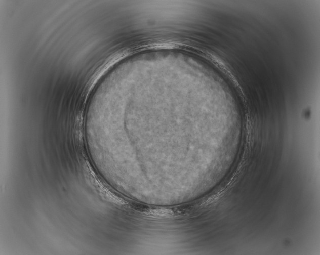 X0000115311186200911301528