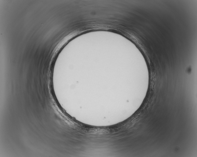 X0000115311187200911301528