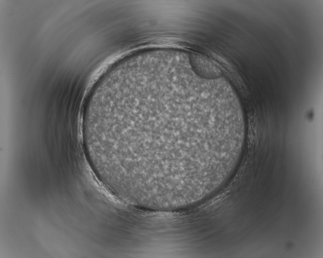 X0000115311188200911301528