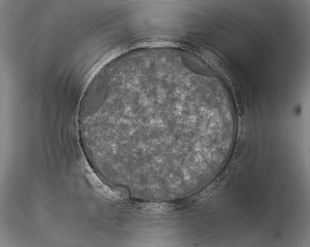 X0000115311189200911301528