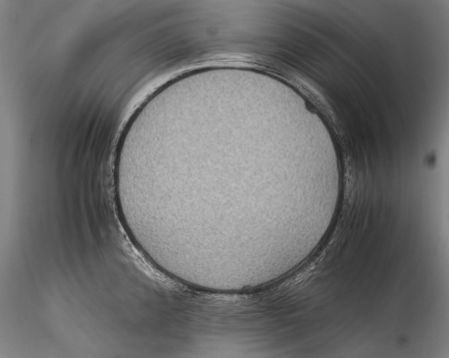 X0000115311192200911301528