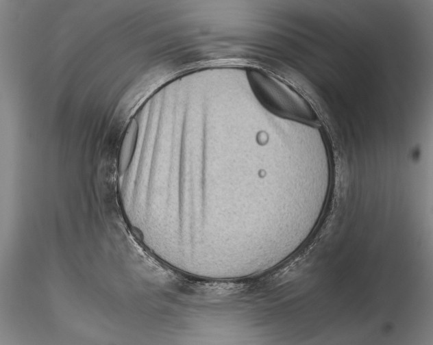 X0000115311193200911301528