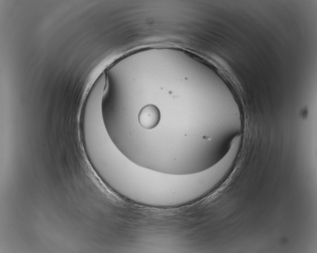 X0000115311196200911301528