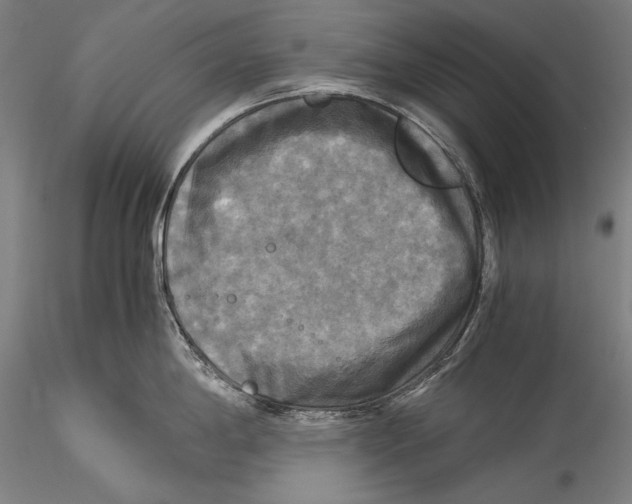 X0000115311198200911301528