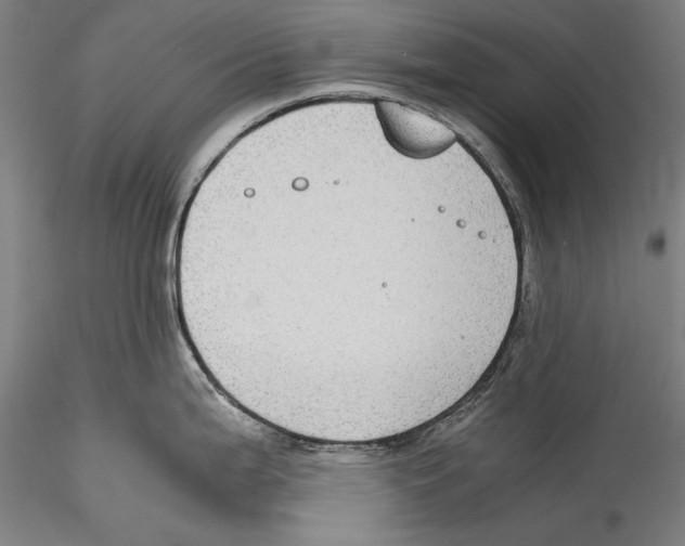 X0000115311199200911301528