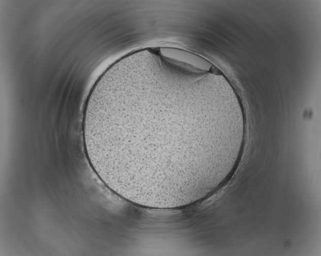 X0000115311200200911301528