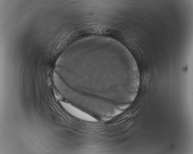 X0000115311202200911301527