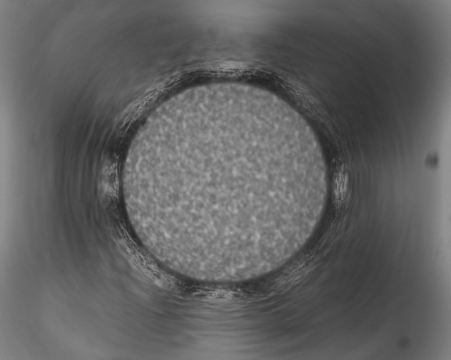 X0000115311204200911301527