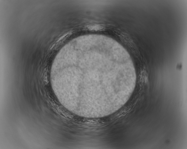 X0000115311205200911301527