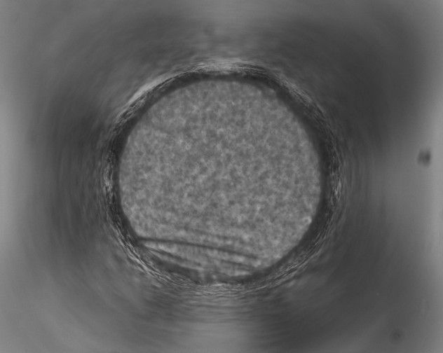 X0000115311206200911301527