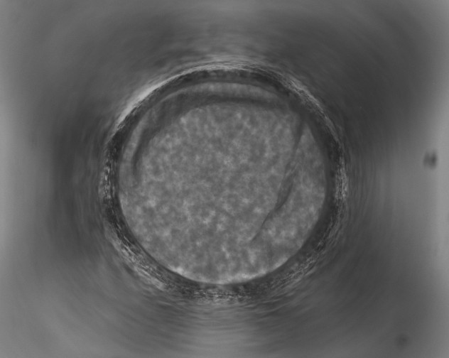 X0000115311208200911301527