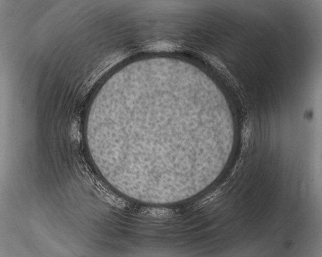 X0000115311209200911301527