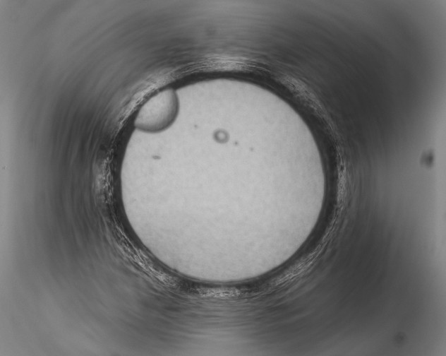 X0000115311210200911301528