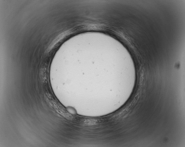 X0000115311211200911301528