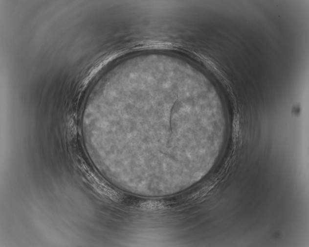 X0000115311212200911301528