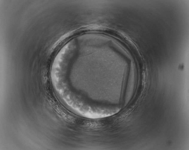 X0000115311213200911301528