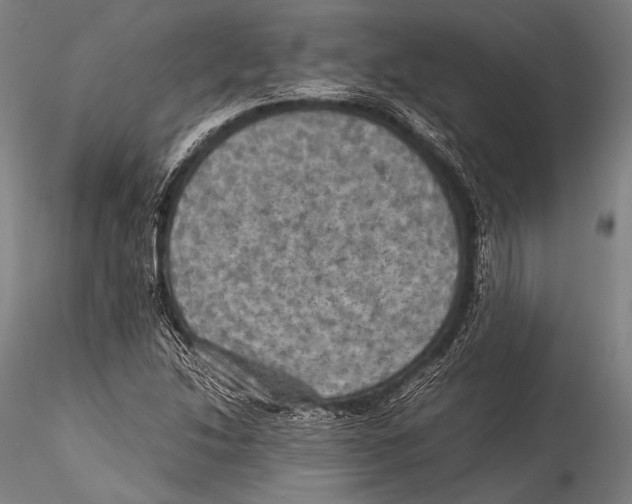 X0000115311214200911301528