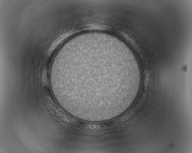 X0000115311215200911301528