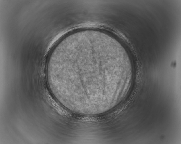 X0000115311216200911301528